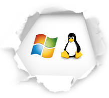 windows linux