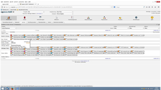 Neue Funktion in expecco ALM: Scrum/Kanban