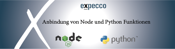 Anbindung von Node und Python Funktionen